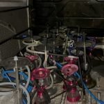 حدائق الشريفية تحت رحمة مقاهي الشيشة: مسؤولية أمنية ومجتمعية