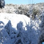 تساقطات ثلجية وأمطار قوية وهبات رياح قوية مرتقبة من اليوم السبت إلى الاثنين بعدد من مناطق المملكة (نشرة إنذارية)