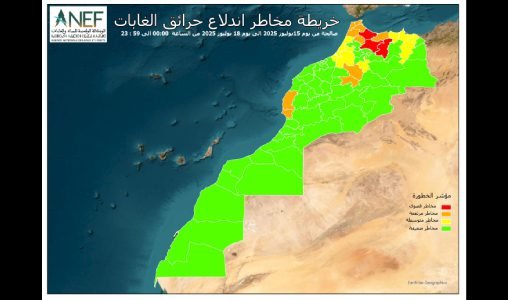 معالجة ما يقارب نصف مليون طلب تأشيرة إلكترونية خلال ثلاث سنوات