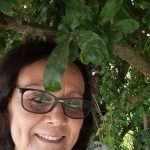 من متاهات اللامعنى